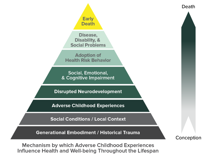 Chart shows mechanisms by which adverse childhood experiences influence health and well-being throughout the lifespan.